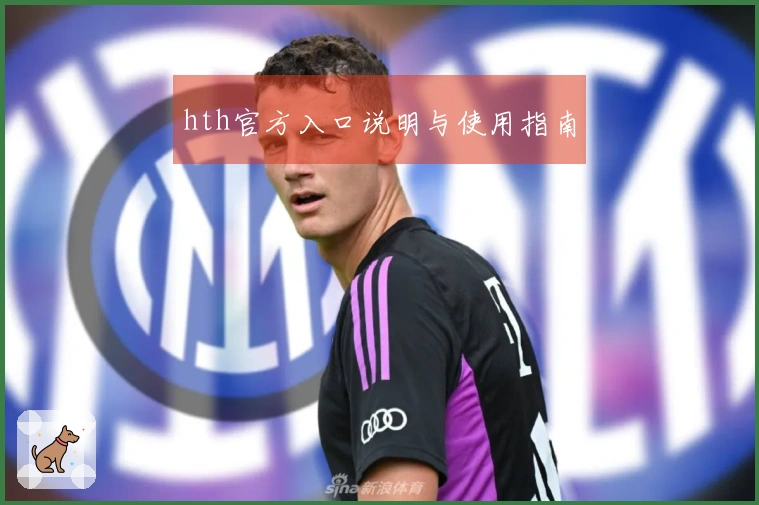 hth官方入口说明与使用指南